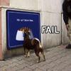 75209 - Unmoderated Gallery Of Funny Fail Pictures - 1