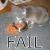 83802 - Unmoderated Gallery Of Funny Fail Pictures - 1
