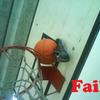 Ogaaaedl-fvstkr5ntv_cz9stnfqqfu31hifmgsuajgapbuixqdfo0ertba-1t4dwonrtajre2mshdca6ef6pjhiwzoam1t1ulavdwgzetdw37s9cu1nidtwnjdc
