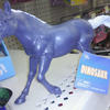 Photo0145