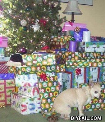 Gift
