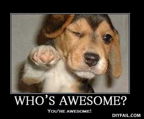 Awesome