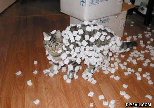 Fail