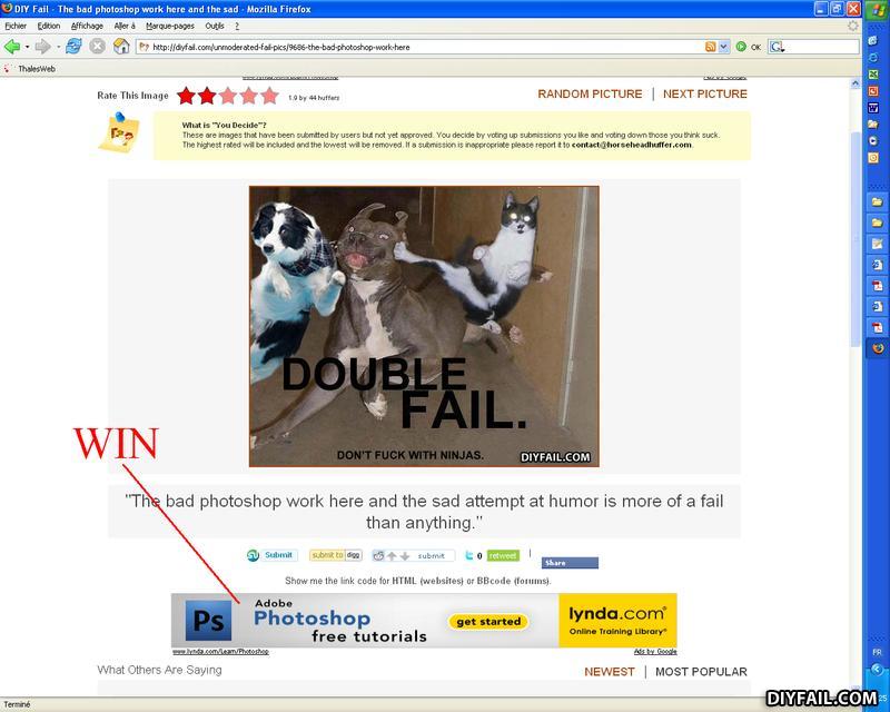 Win_dog