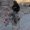 Faildonkey