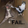 6290 - Popular Gallery Of Funny Fail Pictures - 2