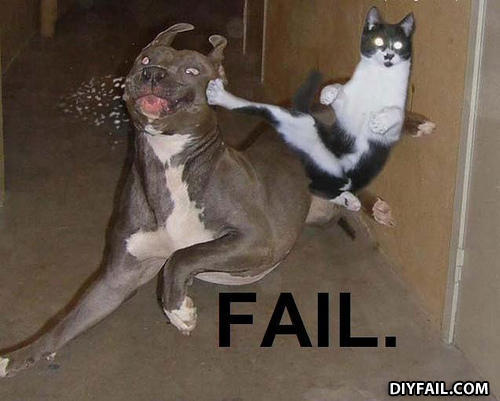 Fail16