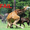 14427 - DIY Fail