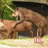 6354 - DIY Fail