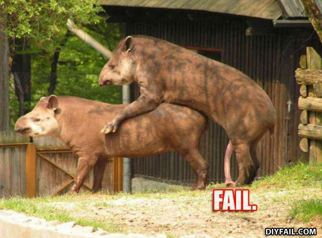 Tapirfail