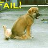 6354 - DIY Fail