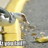 Duckfail