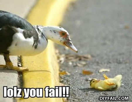 Duckfail