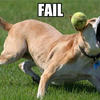 Faildog