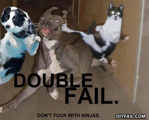 Dogfail
